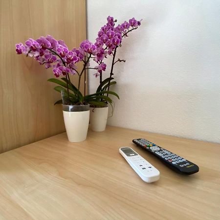 B&B Petite Maison Позада Екстериор снимка